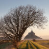 Paysage Normandie - Nicolas Rottiers photographe
