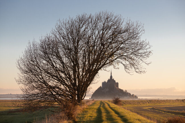Paysage Normandie - Nicolas Rottiers photographe