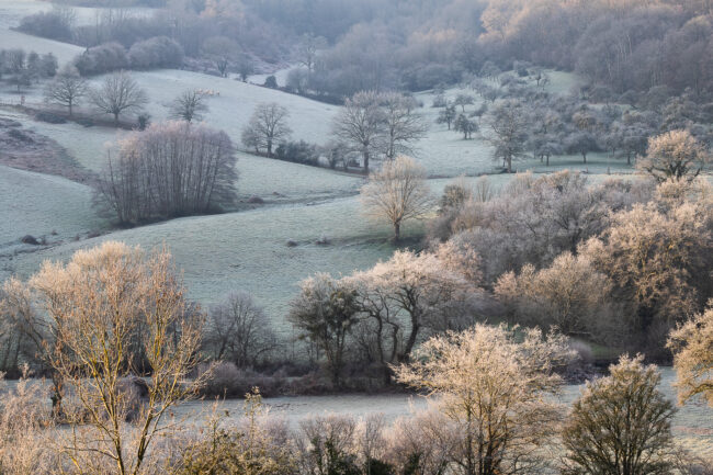Paysage Normandie - Nicolas Rottiers photographe