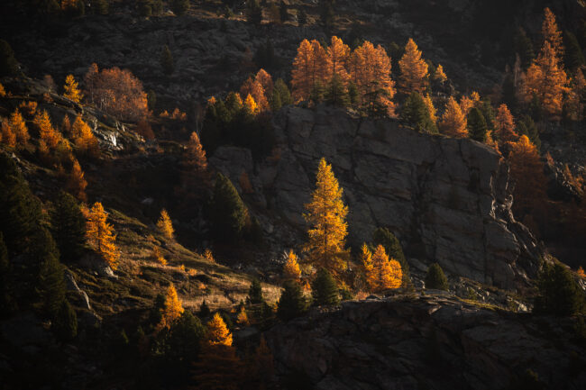 Paysage Alpes - Nicolas Rottiers photographe
