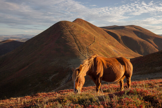 Paysage Auvergne Puy-de-Dôme Sancy - Nicolas Rottiers photographe