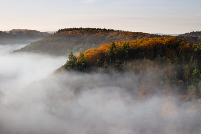 Paysage Normandie - Nicolas Rottiers photographe