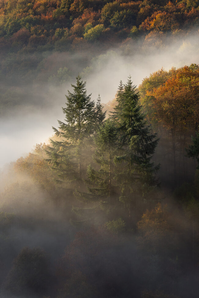 Paysage Normandie - Nicolas Rottiers photographe