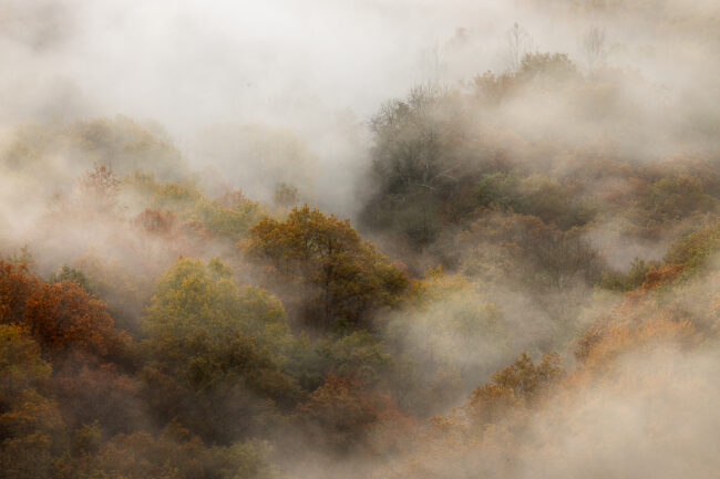 Paysage Normandie - Nicolas Rottiers photographe