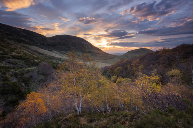 Paysage Auvergne Puy-de-Dôme Sancy - Nicolas Rottiers photographe