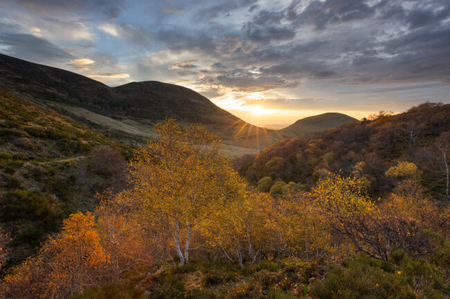 Paysage Auvergne Puy-de-Dôme Sancy - Nicolas Rottiers photographe