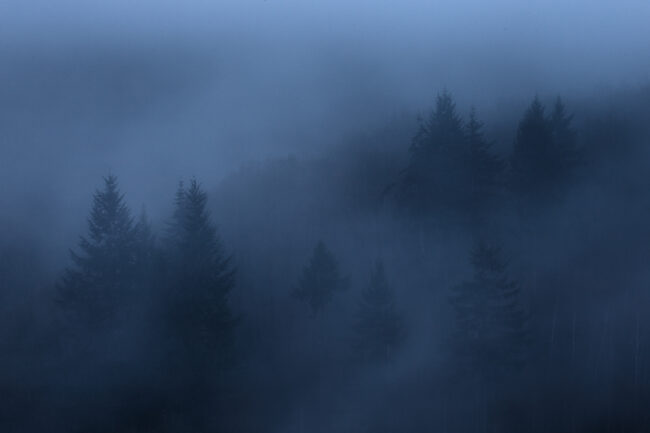 Paysage Normandie - Nicolas Rottiers photographe