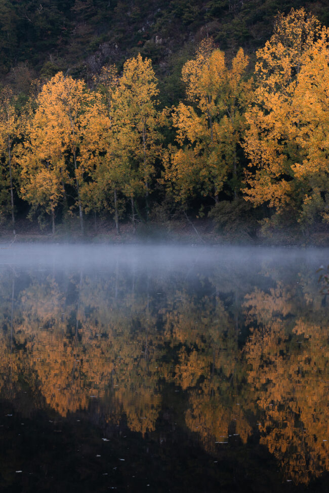 Paysage Normandie - Nicolas Rottiers photographe