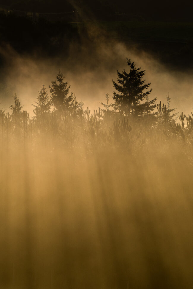 Paysage Normandie - Nicolas Rottiers photographe