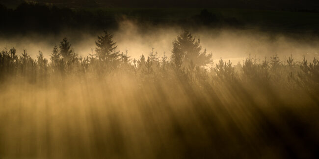 Paysage Normandie - Nicolas Rottiers photographe