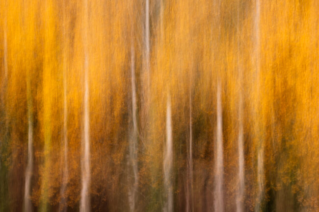 Paysage Normandie - Nicolas Rottiers photographe