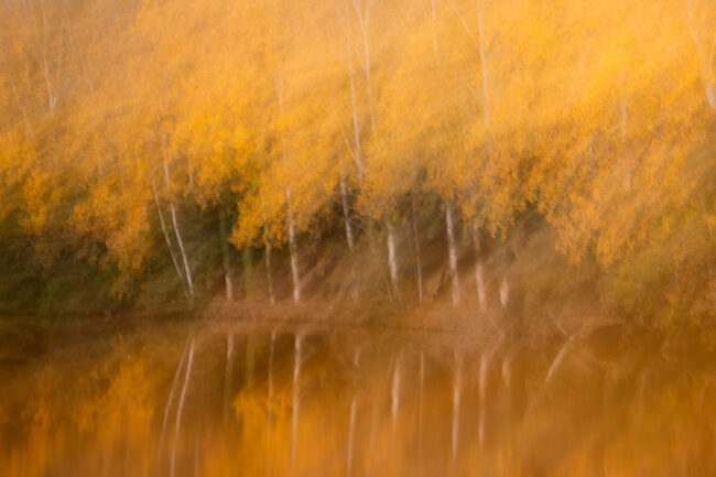 Paysage Normandie - Nicolas Rottiers photographe