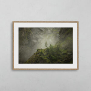 Majestueuse solitude