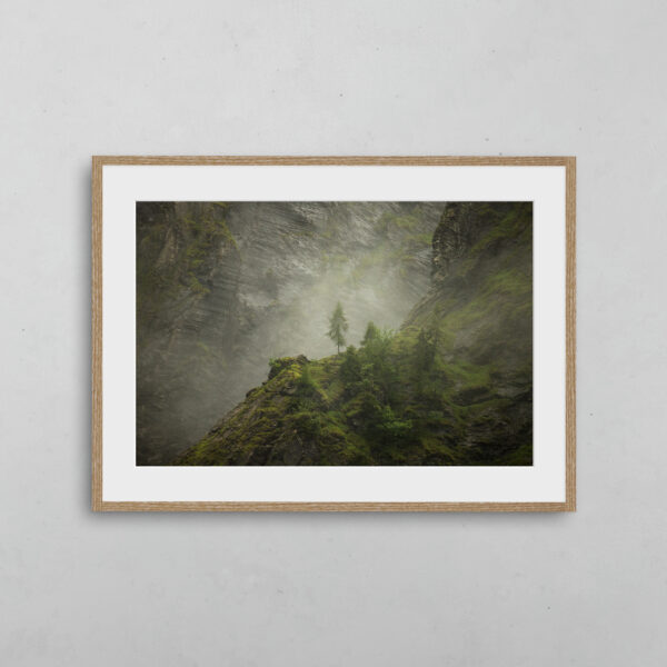Majestueuse solitude