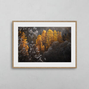 L'automne en lumière