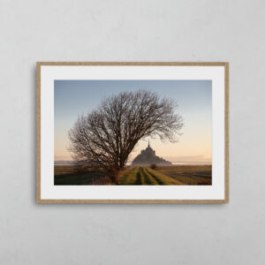 L'arbre et le Mont