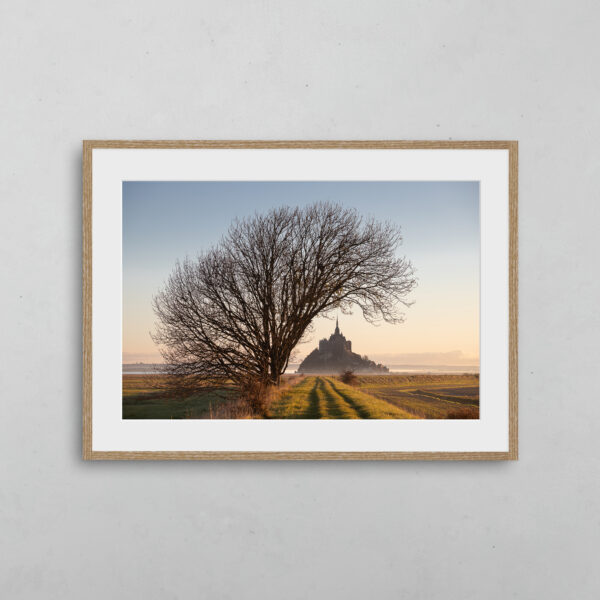 L'arbre et le Mont