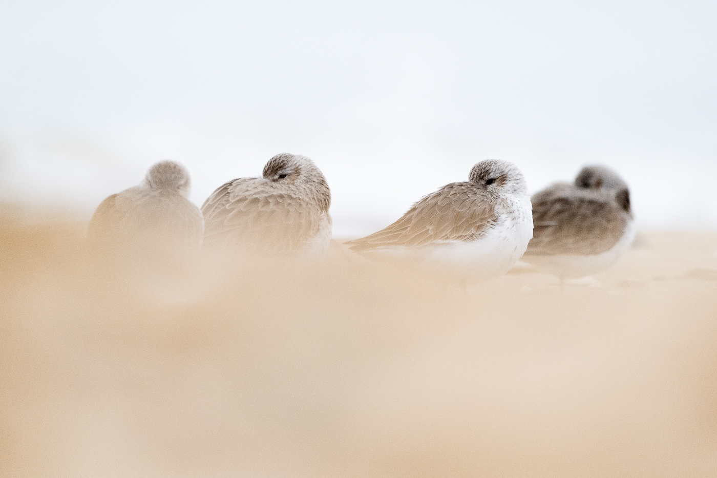 Vastes silences – Image 3