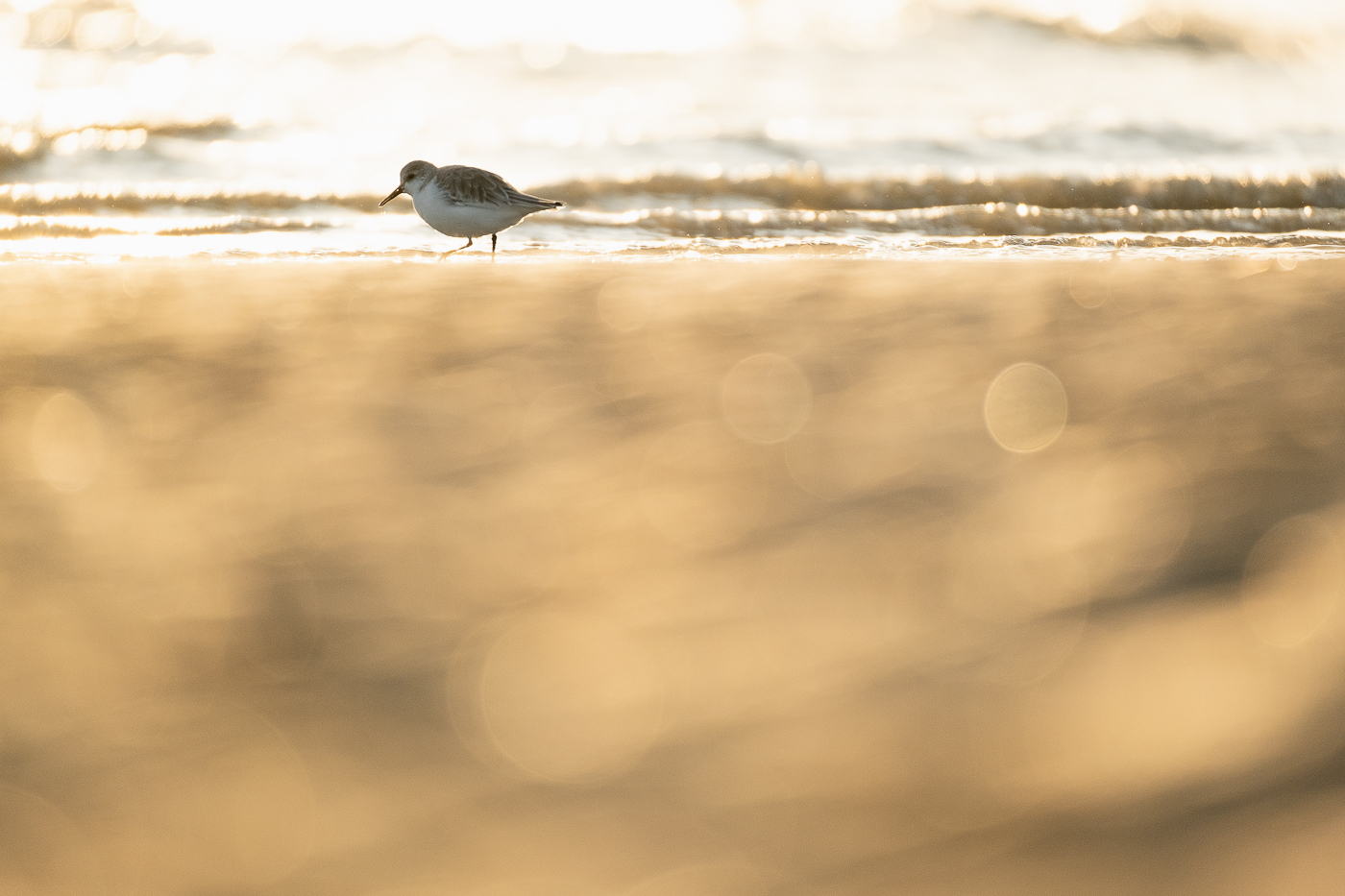 Vastes silences – Image 3