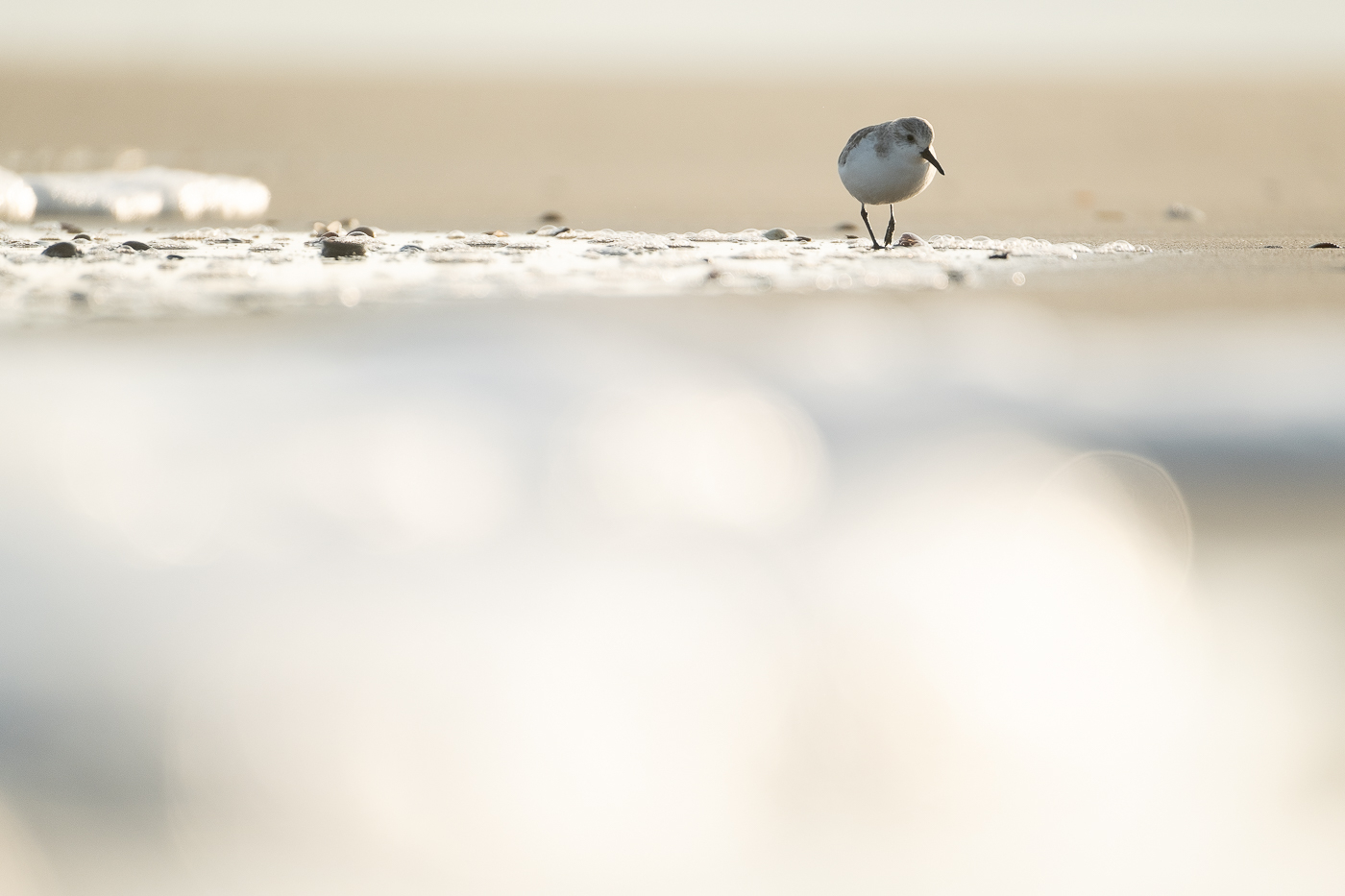 Vastes silences – Image 3