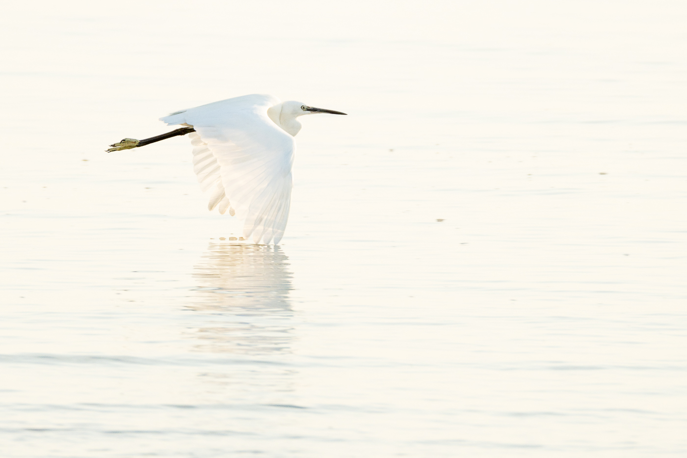 Vastes silences – Image 3