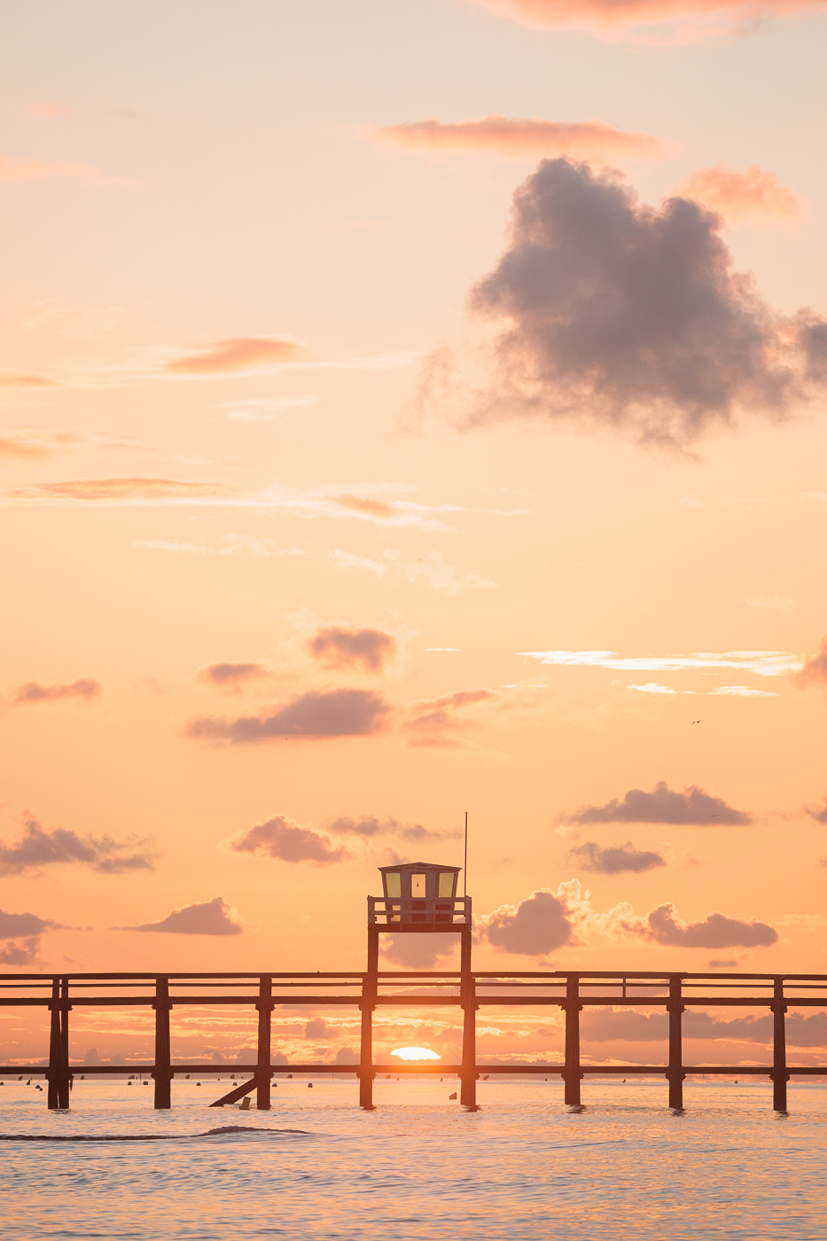 Vastes silences – Image 3