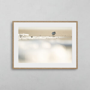 boutique-photo-art-nicolas-rottiers