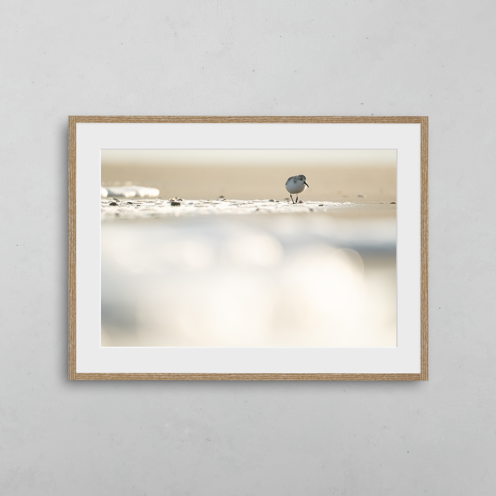 boutique-photo-art-nicolas-rottiers