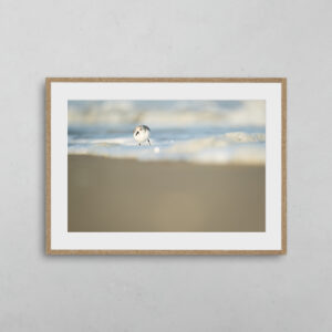 boutique-photo-art-nicolas-rottiers