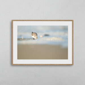 boutique-photo-art-nicolas-rottiers