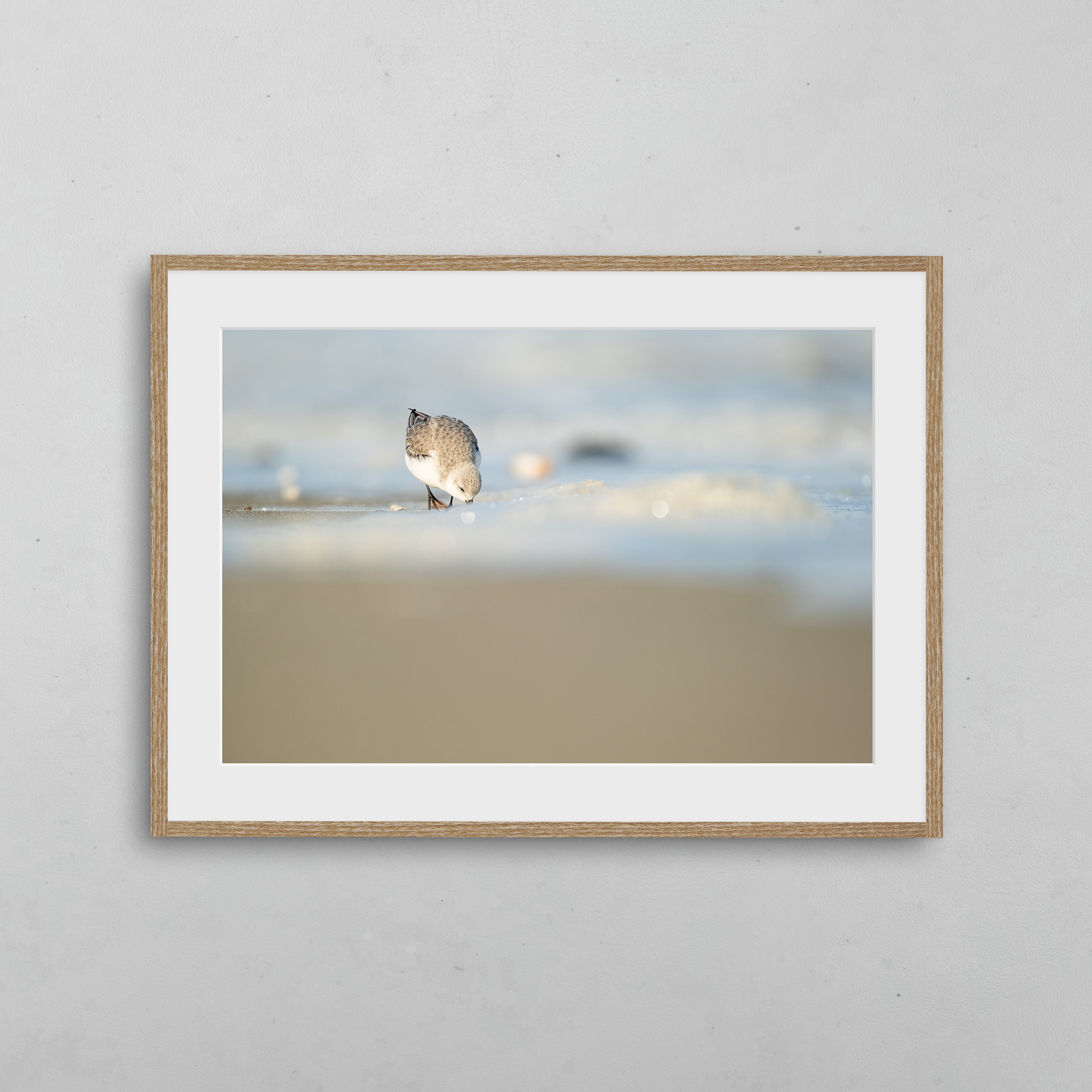 boutique-photo-art-nicolas-rottiers