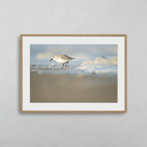 boutique-photo-art-nicolas-rottiers