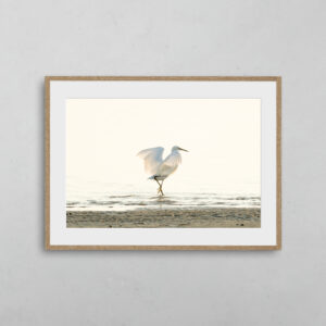 boutique-photo-art-nicolas-rottiers