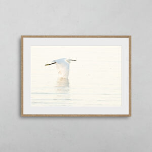 boutique-photo-art-nicolas-rottiers