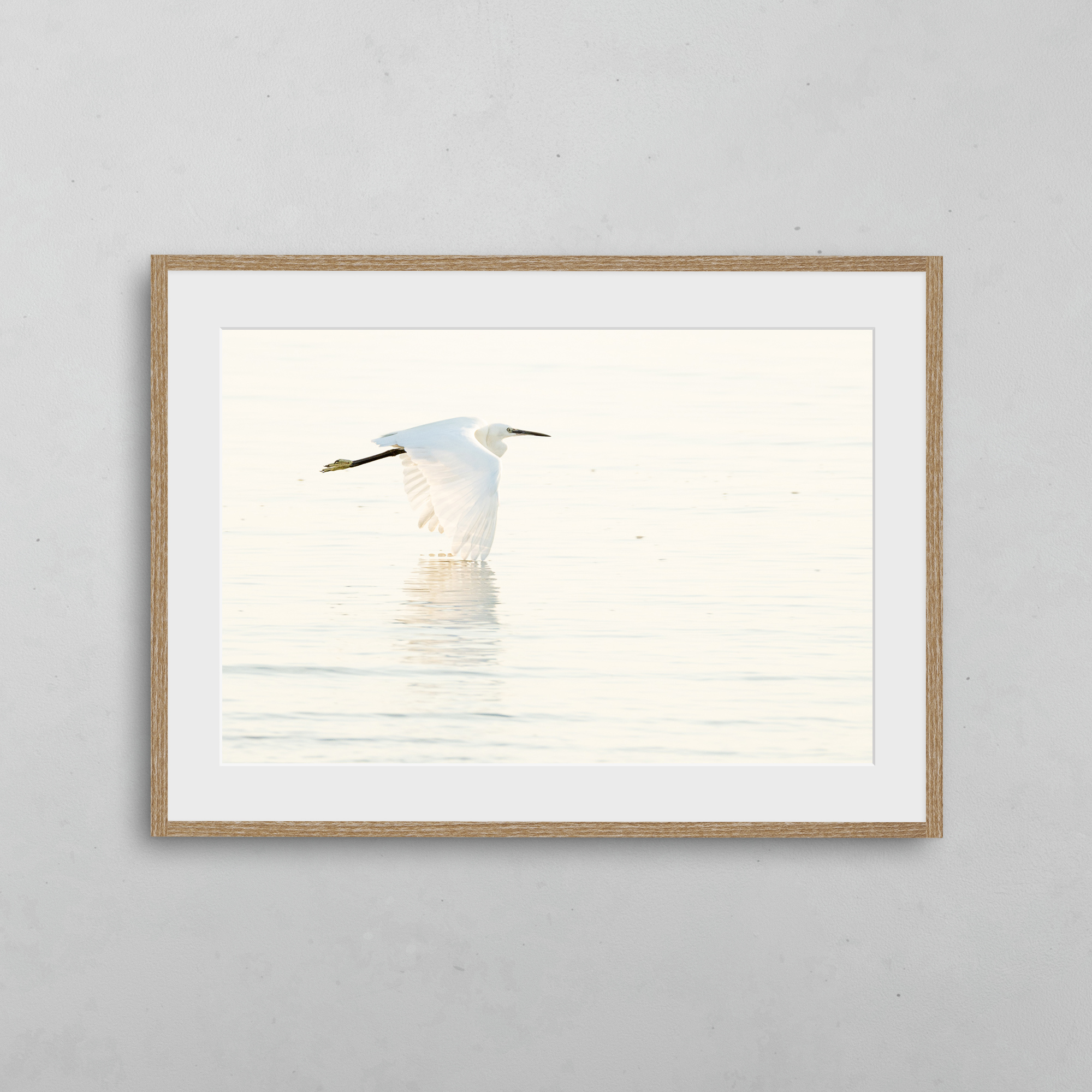 boutique-photo-art-nicolas-rottiers