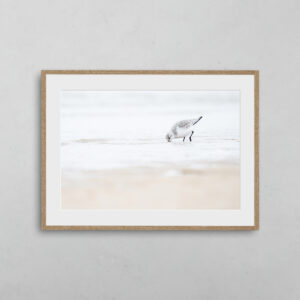 boutique-photo-art-nicolas-rottiers