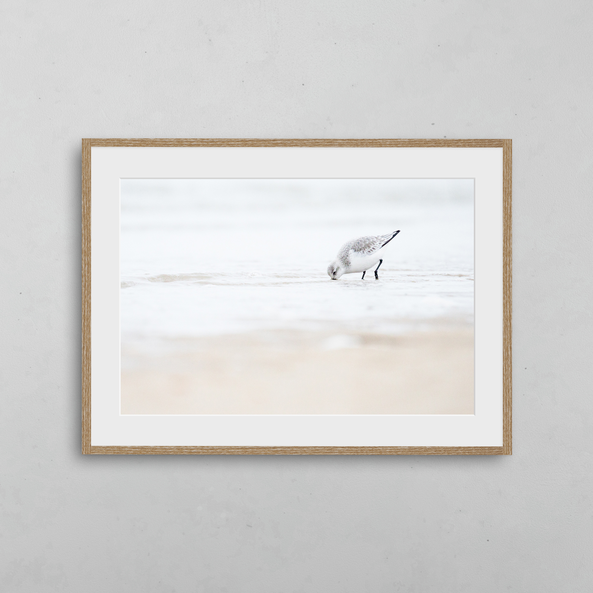 boutique-photo-art-nicolas-rottiers