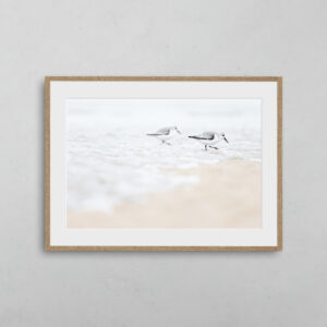 boutique-photo-art-nicolas-rottiers