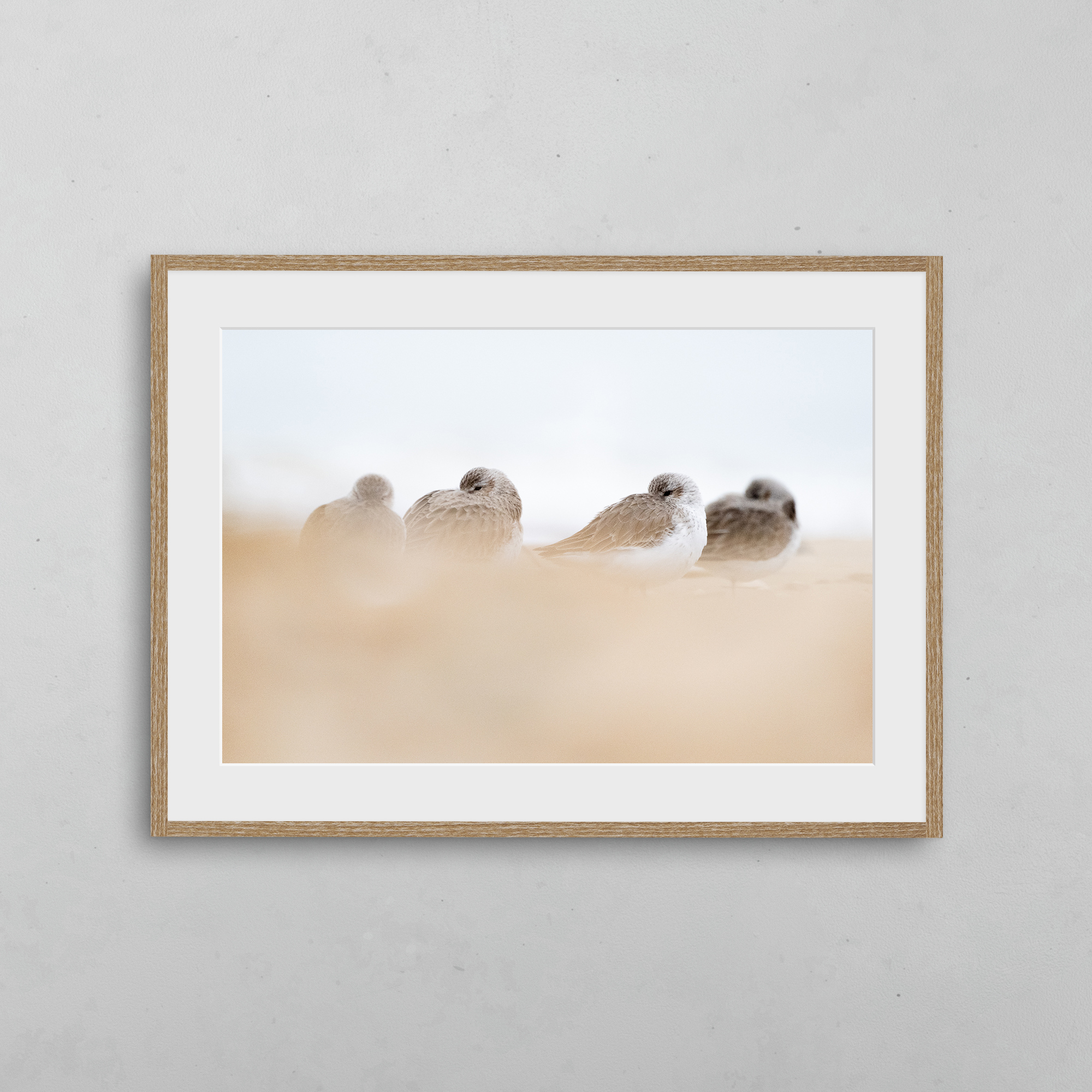 boutique-photo-art-nicolas-rottiers