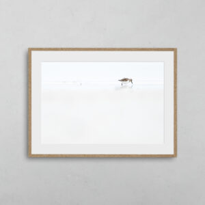 boutique-photo-art-nicolas-rottiers