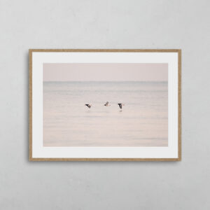 boutique-photo-art-nicolas-rottiers