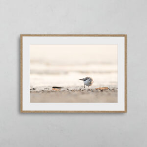 boutique-photo-art-nicolas-rottiers