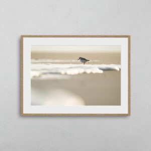 boutique-photo-art-nicolas-rottiers