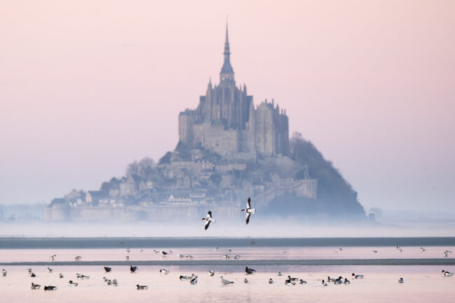 Paysage Normandie Mont-Saint-Michel - Nicolas Rottiers photographe