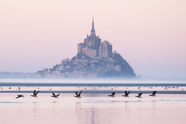 Paysage Normandie Mont-Saint-Michel - Nicolas Rottiers photographe