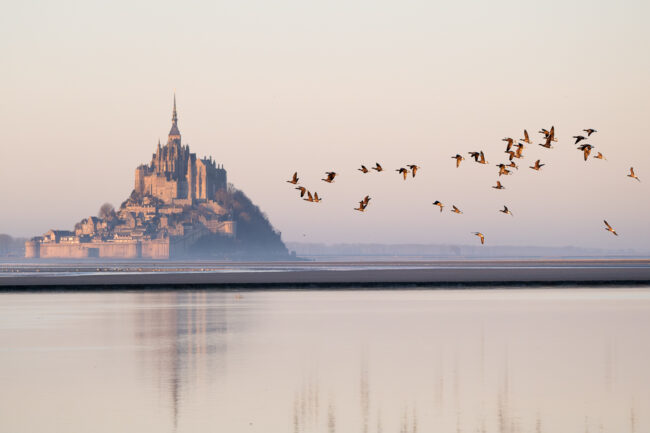 Paysage Normandie Mont-Saint-Michel - Nicolas Rottiers photographe