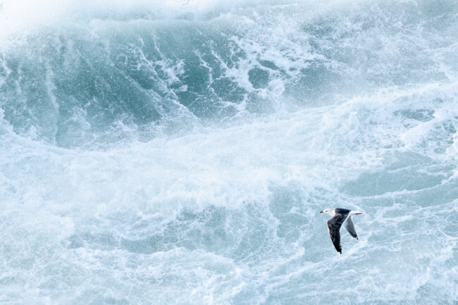 horizons-défaits-nicolas-rottiers