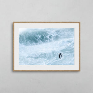 nicolas-rottiers-photographe-caen-boutique-vaste-silence