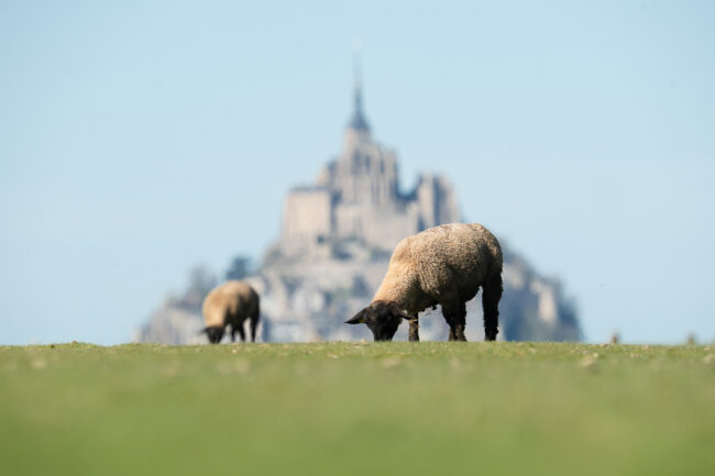 Paysages normands Nicolas Rottiers Photographe Paysage Normandie