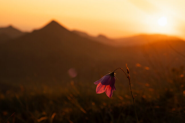 reportage-outdoor-caen-normandie-nicolas-rottiers